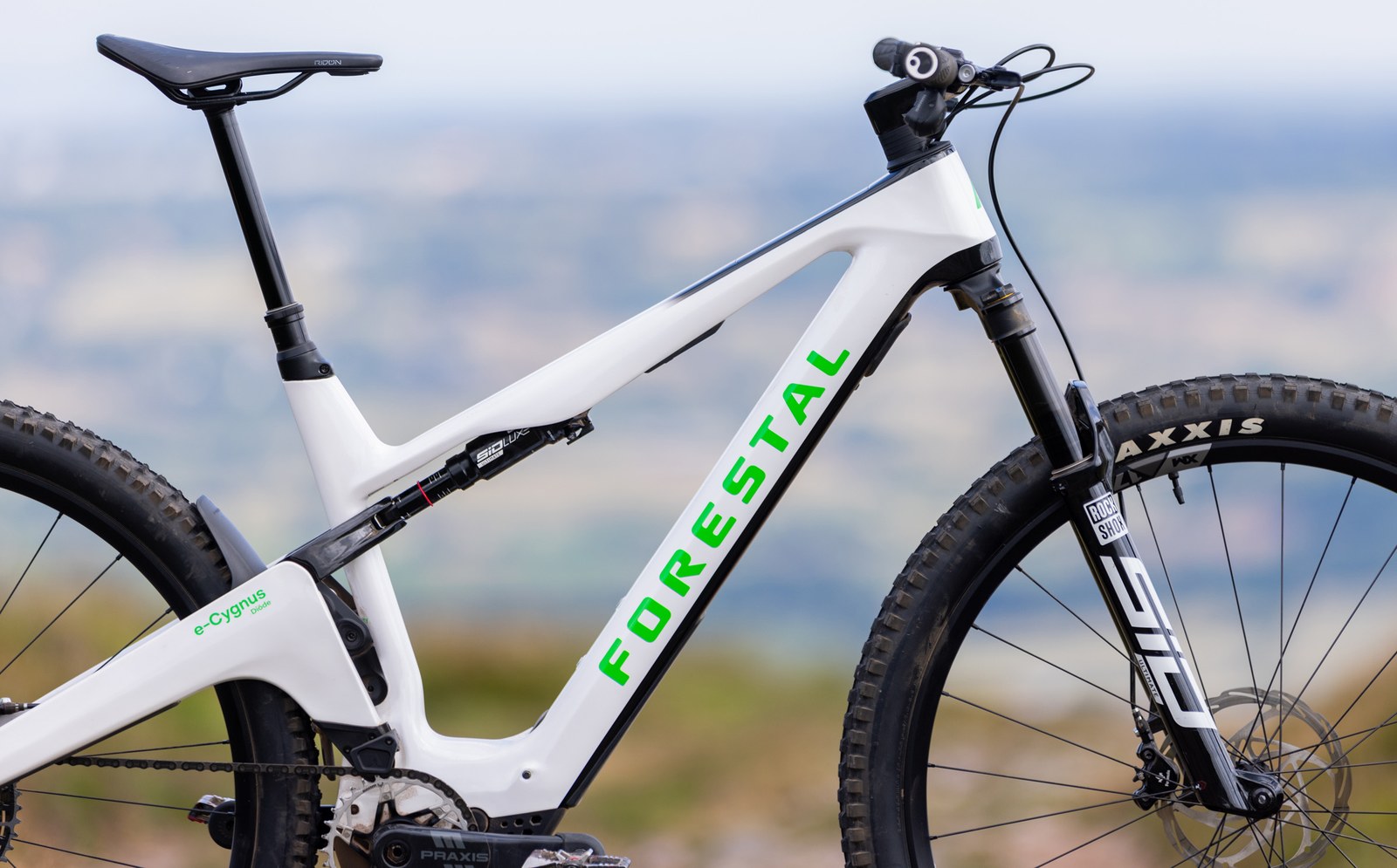 Forestal e-Cygnus