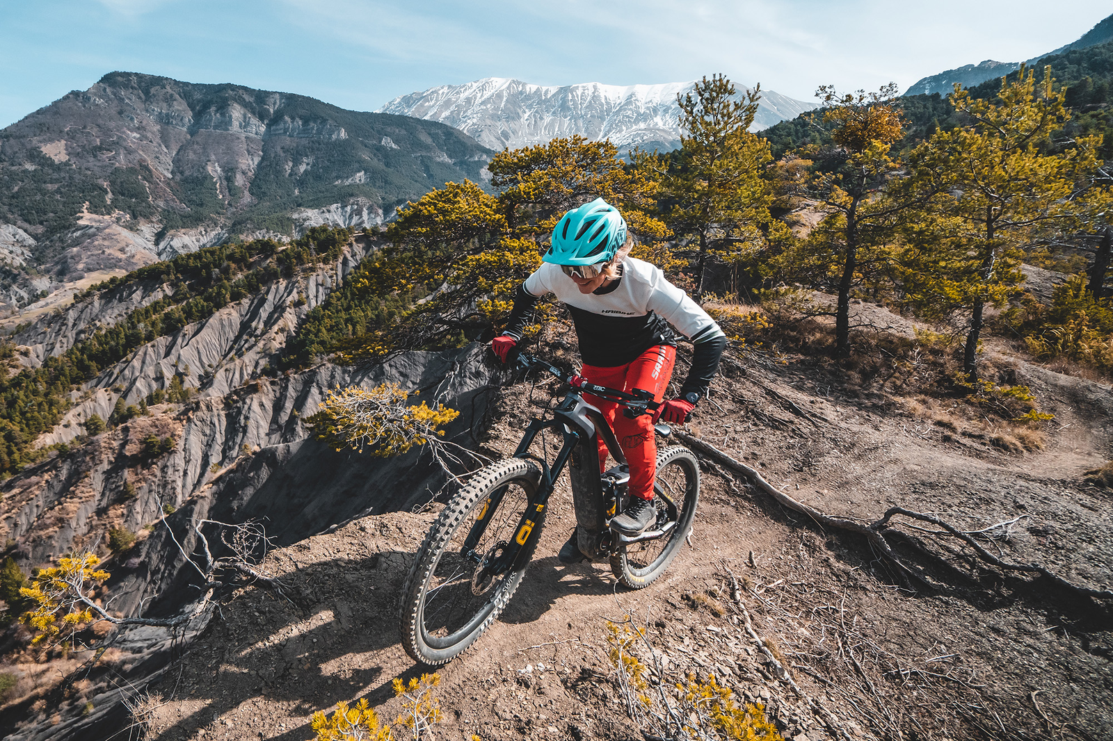 Haibike AllMtn