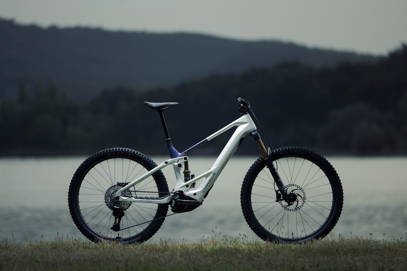 Orbea Wild TR