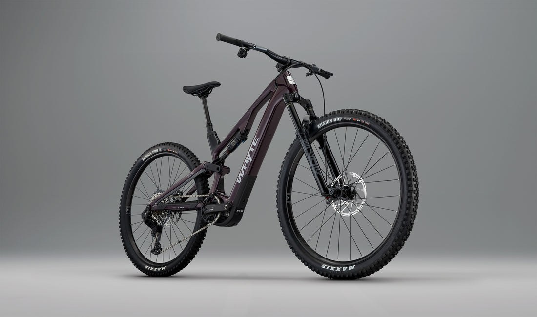 Whyte ELyte EVO