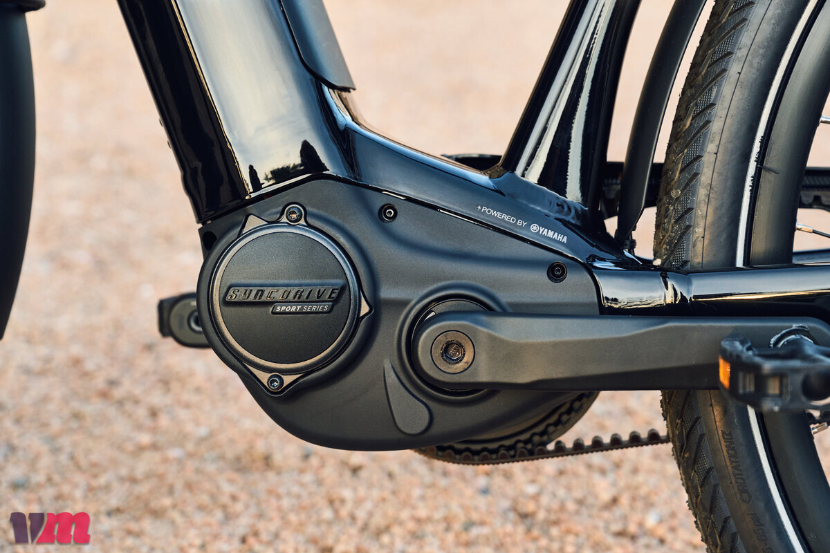 Giant SyncDrive Sport eMTB motor