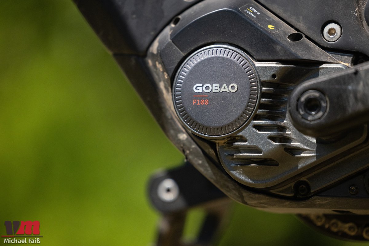 P100 eMTB motor